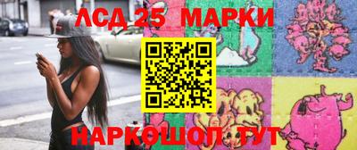 apvp Аша