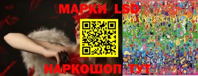 apvp Аша