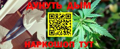 apvp Аша