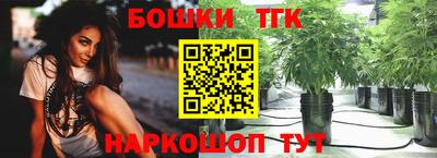 apvp Аша