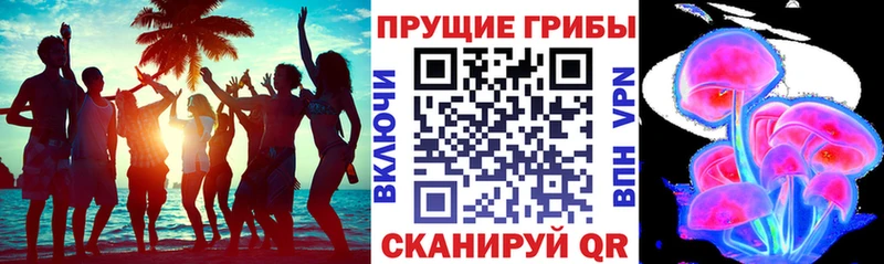Псилоцибиновые грибы ЛСД  Братск 