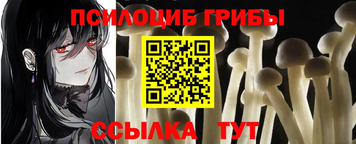Братск  Галлюциногенные грибы Magic Shrooms  Вход с VPN 